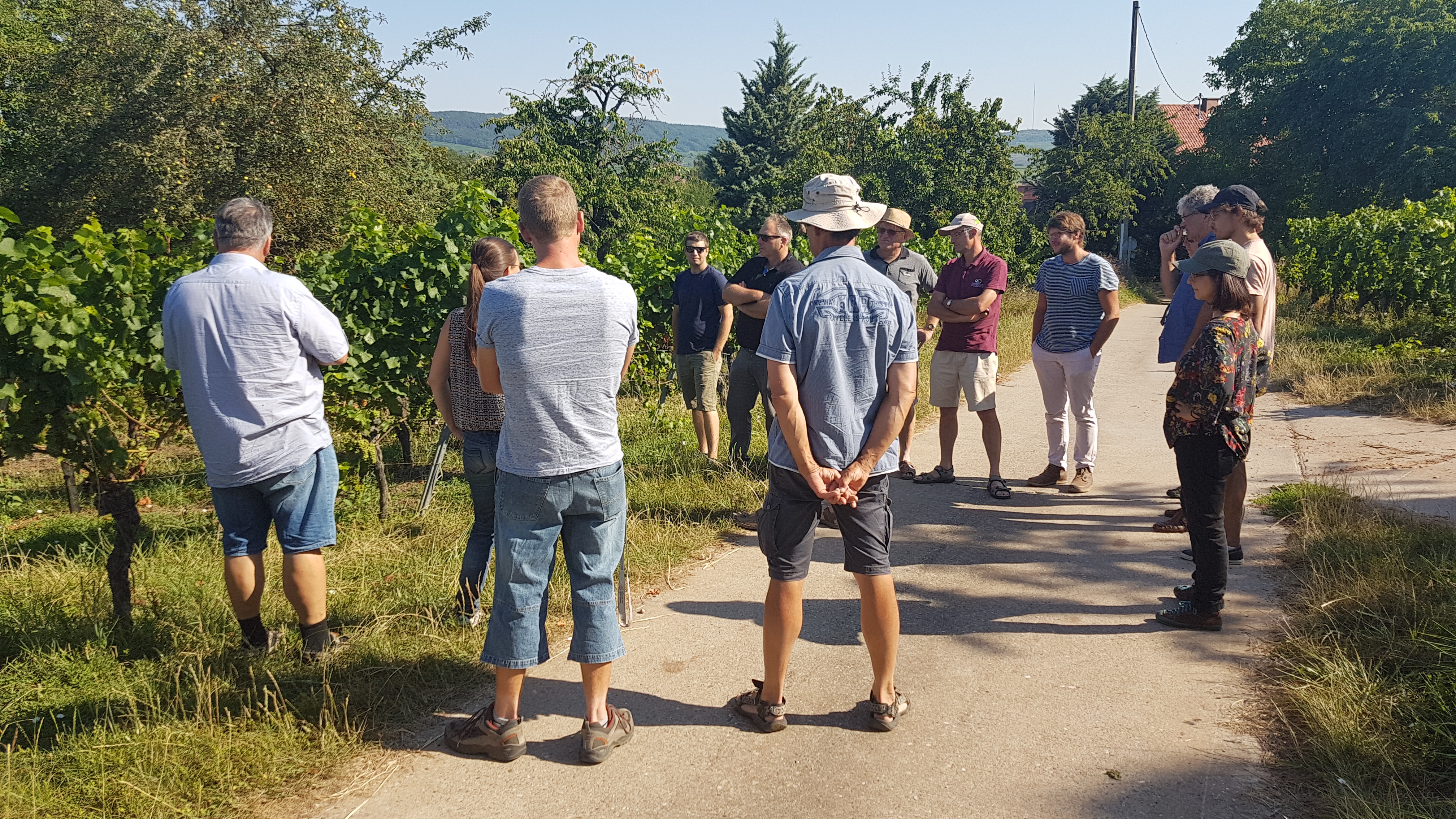 Rencontre réseau viticulture (26/07/2018)