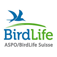 logo-bird-life