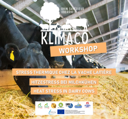 Workshop – Heat stress in dairy cows
