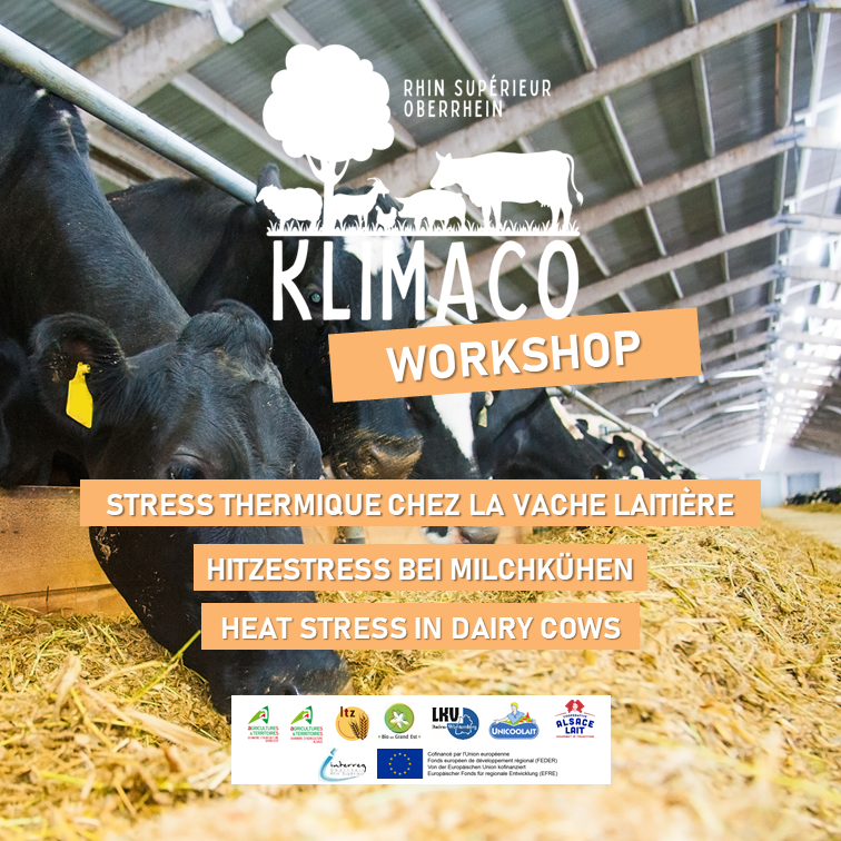 Workshop – Stress thermique chez la vache laitière